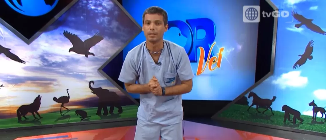 Dr Vet