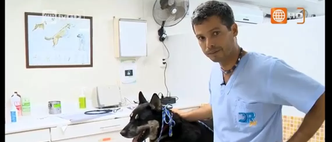 Dr. Vet - Transmitido el 31/10/2015